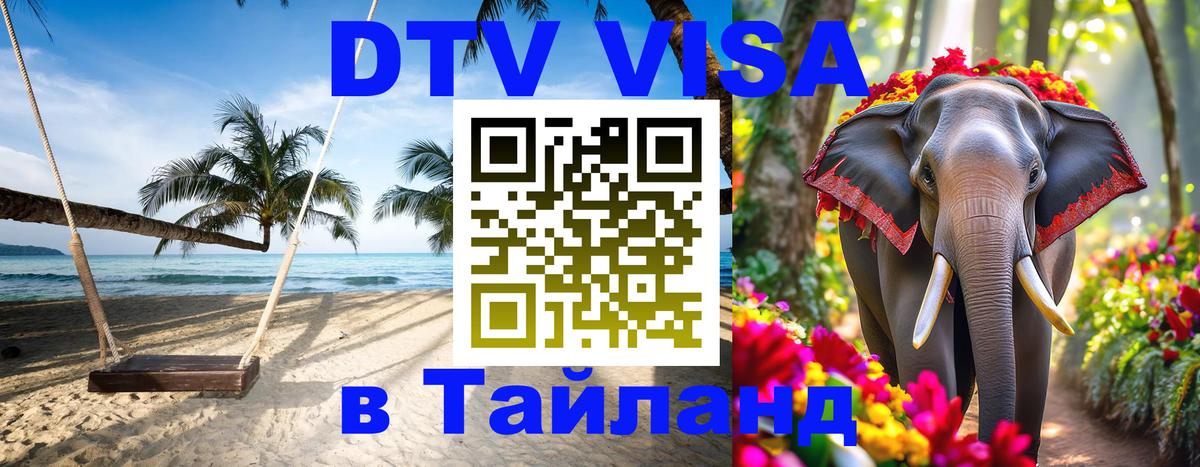 Оформление DTV визы под ключ: стоимость и тарифы, только загранпаспорт - Анкара  03.10.2025 